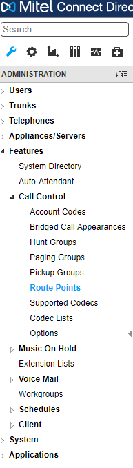 Route point in Mitel Director